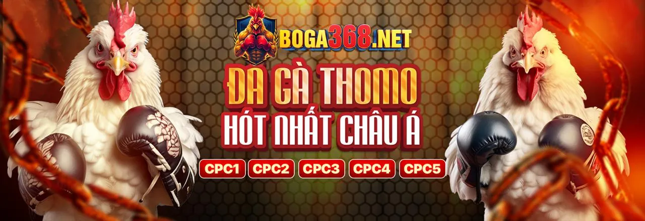 Đá Gà Trực Tuyến a88 code Sôi Động